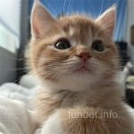 Avatar de Guillermo Duarte